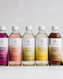 Kefir Soda Box 300ml x 12 - The Wild Fermentary