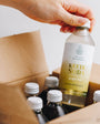 Soda Starter Box - The Wild Fermentary