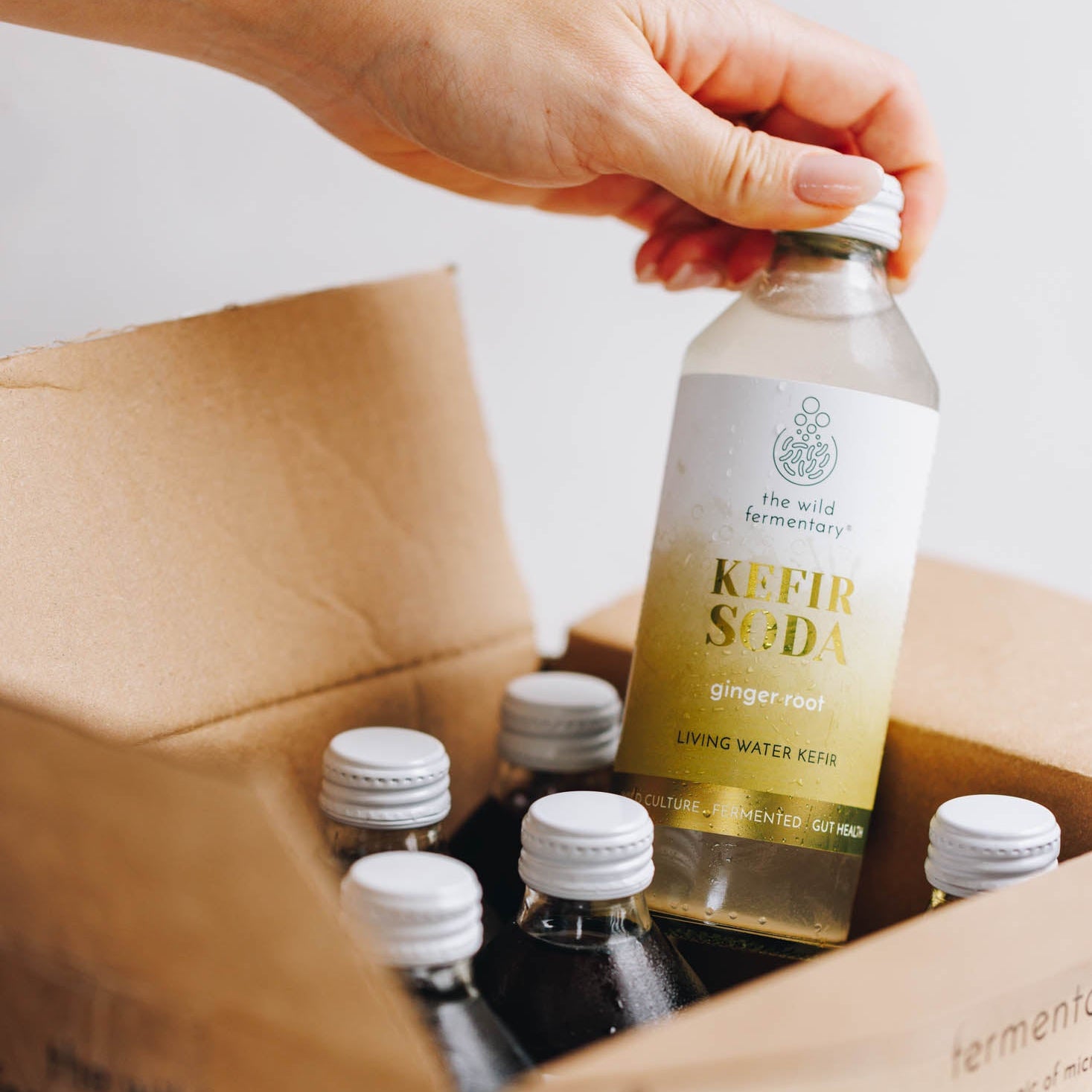 Soda Starter Box - The Wild Fermentary