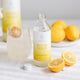 Kefir Soda Box 300ml x 12 - The Wild Fermentary