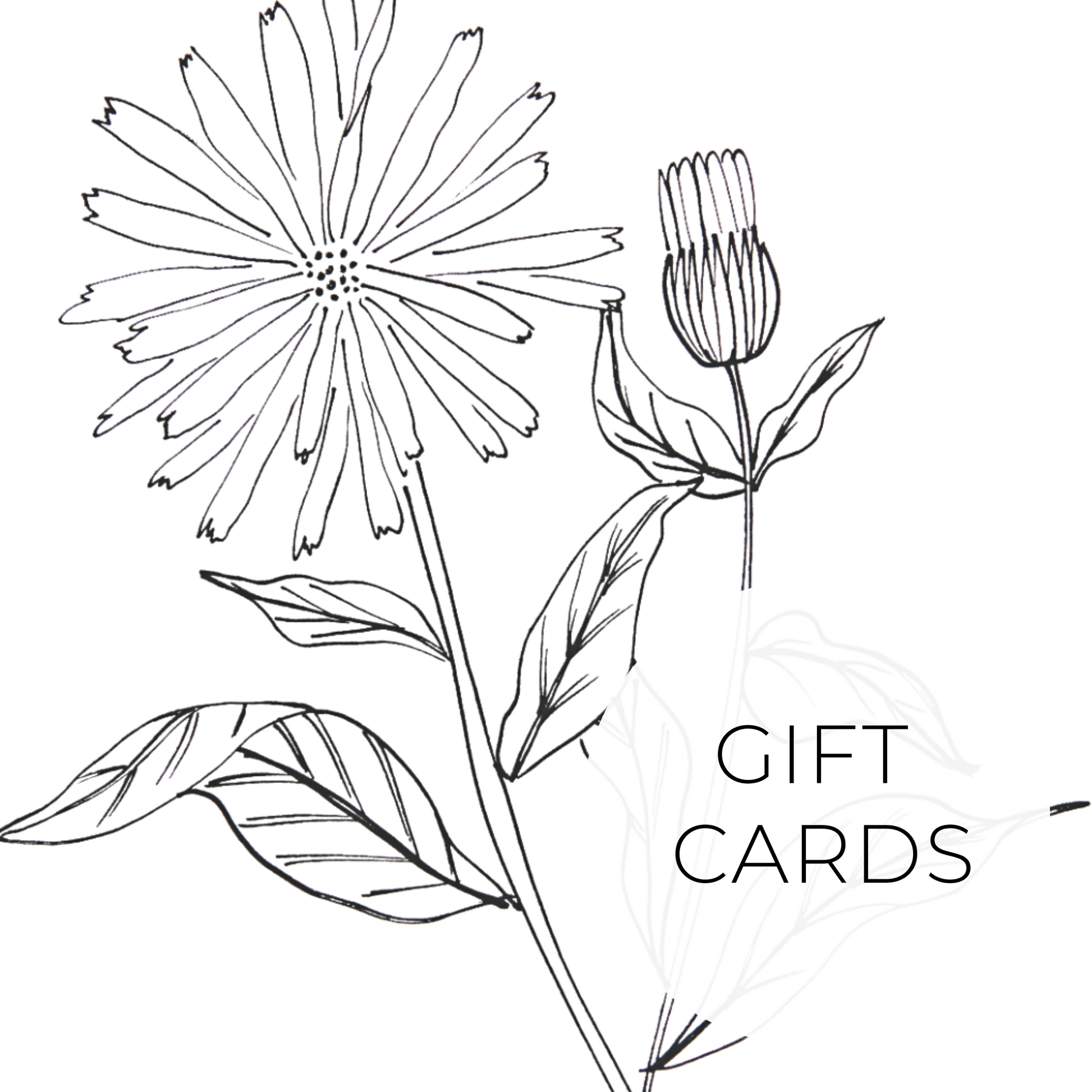 Wild Fermentary Gift Cards